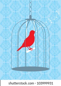 Bird Singing in Cage