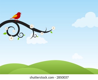 A bird singing in a tree in spring time