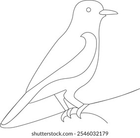 Bird Single continuous line art