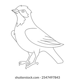 Bird Single continuous line art