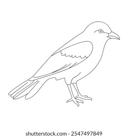 Bird Single continuous line art