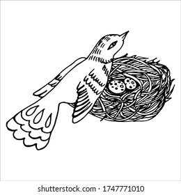 
bird sits in a nest. black and white isolated image. by hand