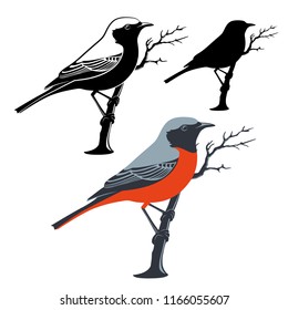 The bird sits on the branch — Stock Vector illustration.