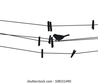 Bird sits on a rope next to the clothespins. Vector illustration.