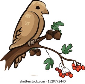 the bird sits on a twig with red rowan.