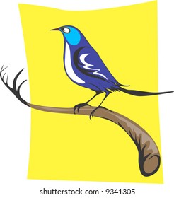  bird sitting in a branch of tree	