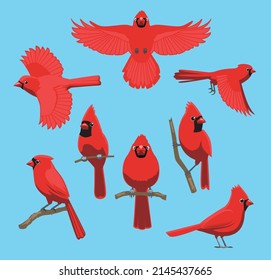 Bird Sitting Flying Red Cardinal Cute Cartoon Vector