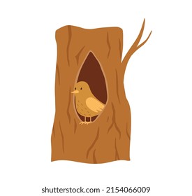 Bird is sitting in a hollow tree, vector flat illustration on a white background. A house for a bird in a tree trunk, a burrow. A bird in a hollow