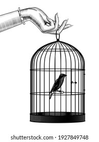 Bird sitting inside cage  Vintage engraving stylized drawing  Vector illustration