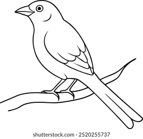 a bird is sitting on atree branch silhouette vector art illustration