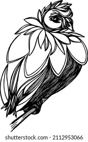 Bird sitting on branch in black and white