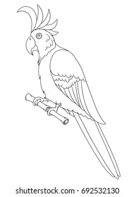 Bird sitting on branch coloring book. Parrot vector stock illustration.