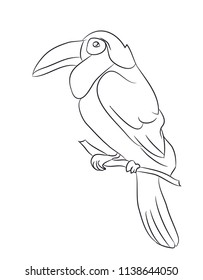 bird sitting on a branch, lines, vector, white background