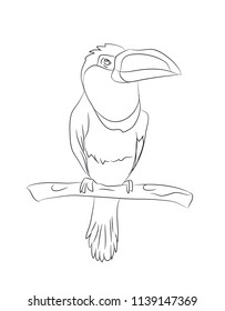 bird sitting on a branch, lines, vector, white background