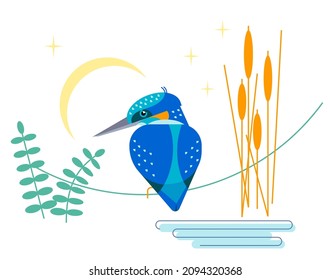 Bird is sitting on branch near the water and reeds. NIght nature scene. Vector illustration.