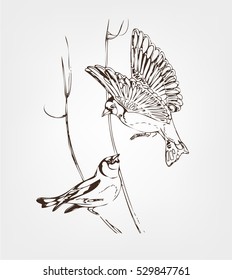 1,127 Goldfinch vector Images, Stock Photos & Vectors | Shutterstock