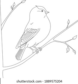 Bird sitting on a branch sketch isolated white background. Vector illustration 
