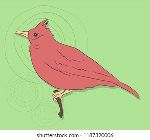 bird sitting on a branch, vector, bright background