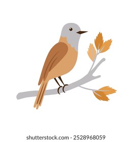 Сute bird is sitting on a branch. Vector illustration on a white background.