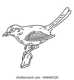 Bird sitting on a branch, vector illustration isolated on background