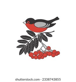  Bird sitting on a rowan branch with red berries. Colored vector drawing on  white background. 

