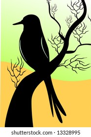 bird sitting on a tree	