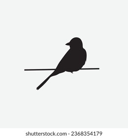 Bird sitting on tree bough