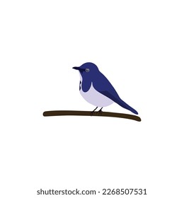A bird is sitting on a tree branch