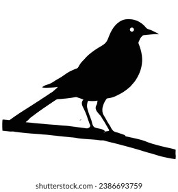 A bird sitting on a tree branch silhouette