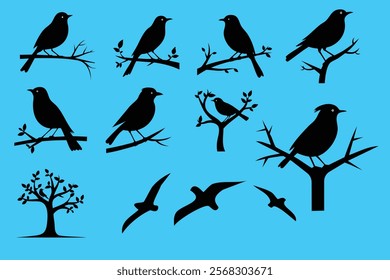 Bird sitting on tree branch