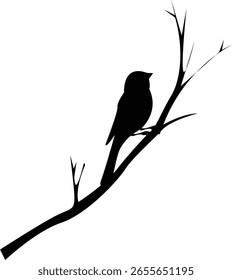 Vogel sitzt auf Baum Ast voll schwarz Silhouette Vektor