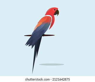 Bird sitting on trees branches. Vector art of bird. Also usable for bird logo vector. Bird illustration using colorful color harmony. 