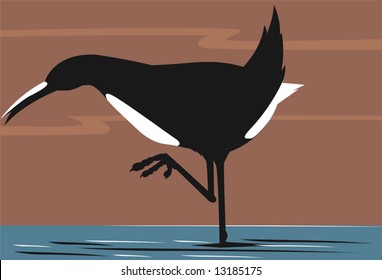  bird sitting in water front	