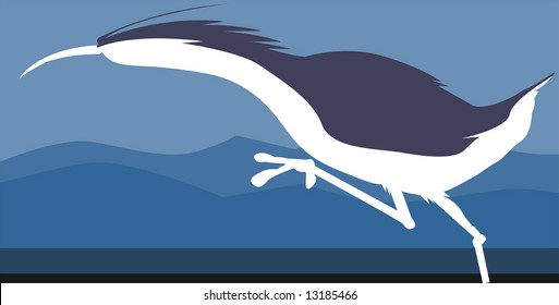  bird sitting in water front	