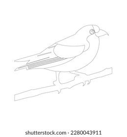 bird skech or linearton white background, illustration, line ar