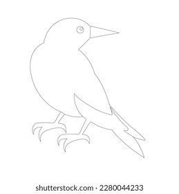 bird skech or linearton white background, illustration, line ar