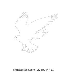 bird skech or linearton white background, illustration, line ar