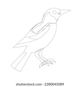 bird skech or linearton white background, illustration, line ar