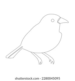 bird skech or linearton white background, illustration, line ar