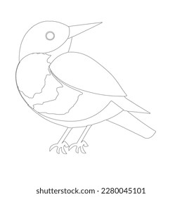 bird skech or linearton white background, illustration, line ar