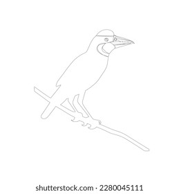 bird skech or linearton white background, illustration, line ar