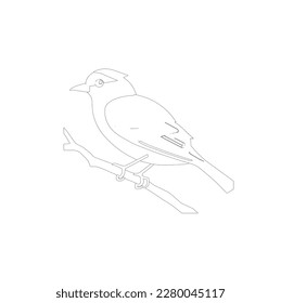 bird skech or linearton white background, illustration, line ar
