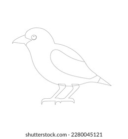 bird skech or linearton white background, illustration, line ar