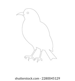 bird skech or linearton white background, illustration, line ar