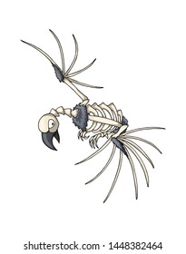 Bird skeleton. Flying cartoon bone monster. Dead raven or paleontology archeopteryx creature. Isolated vector object on white background