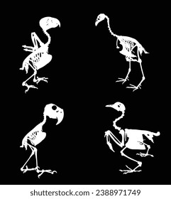 Esbozo de pájaro conjunto gráfico de silueta vectorial aislado. Fósil de anatomía animal, desde la biología de la fauna. Sistema de estructura de huesos. Arqueología educativa. Partes del cuerpo de pollo. Halcón, loro, faisán.