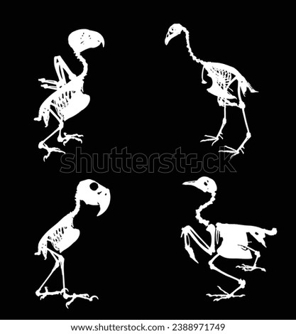 Bird skeleton set vector silhouette illustration isolated. Animal anatomy fossil, since fauna biology. Bones structure system. Education archaeology. Chicken body parts. Hawk, parrot, pheasant.