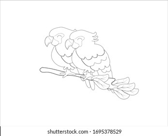 Bird sketches on white background.