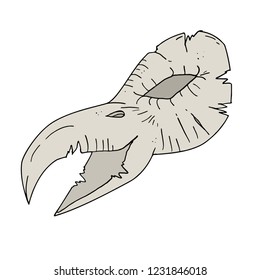 bird skull draw