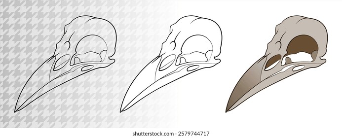 Bird skull isolated on white. Black line. Vector illustration.